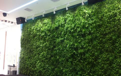 家垂直绿化墙3