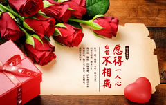 红玫瑰-送女神首选的鲜花